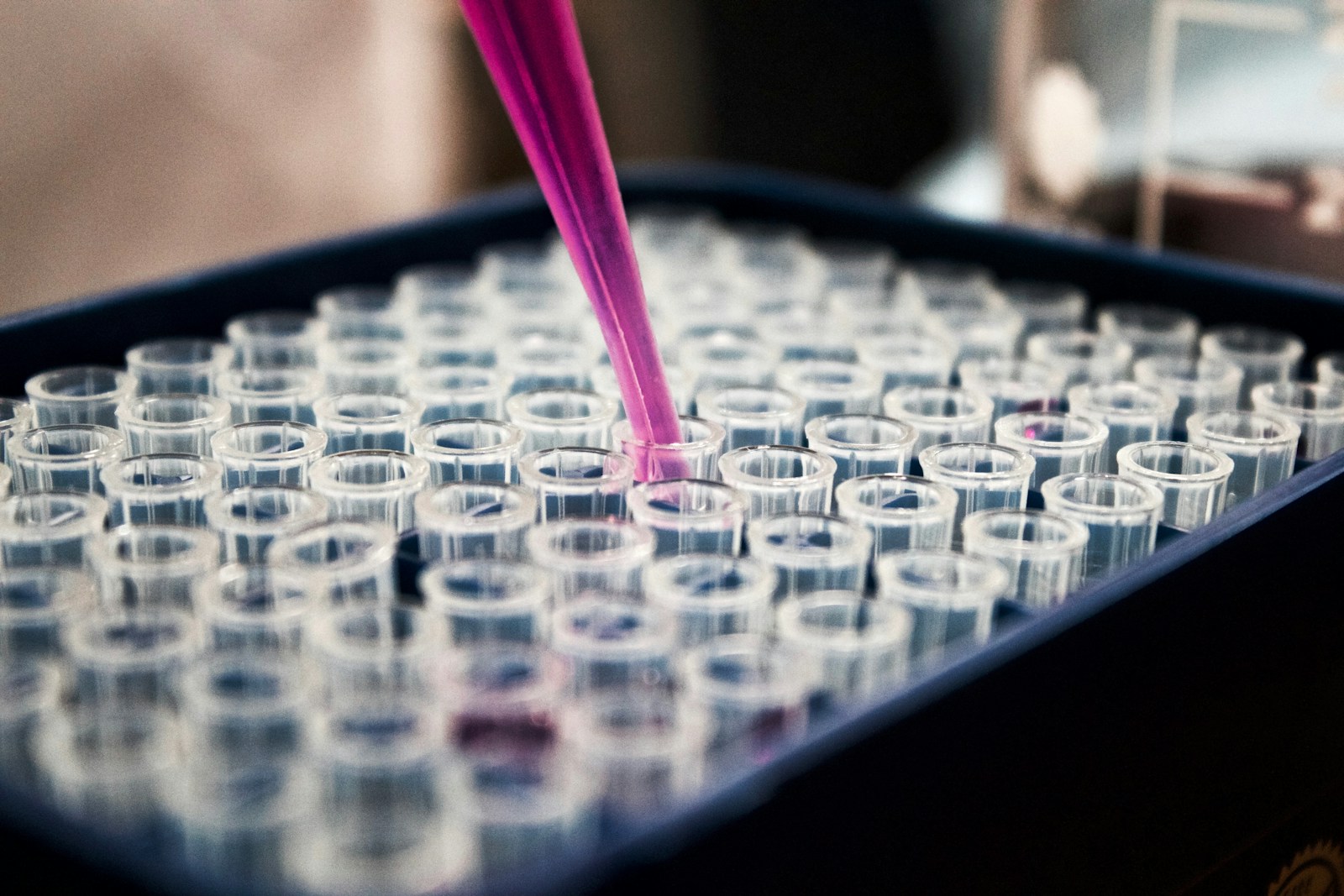 BioInt — biomedical research and clinical intelligence surface